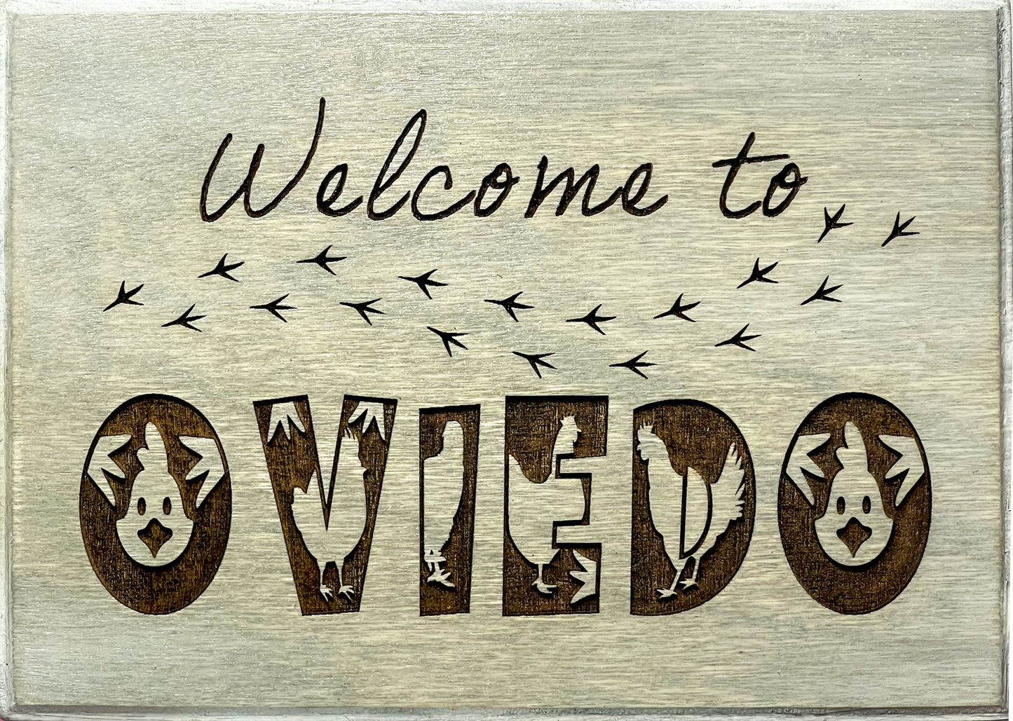 Welcome To Oviedo Sign